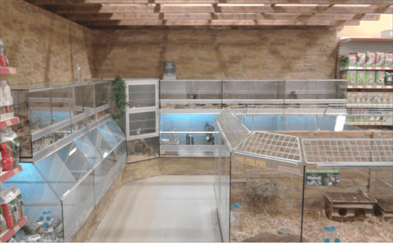 sd-r5-new.png