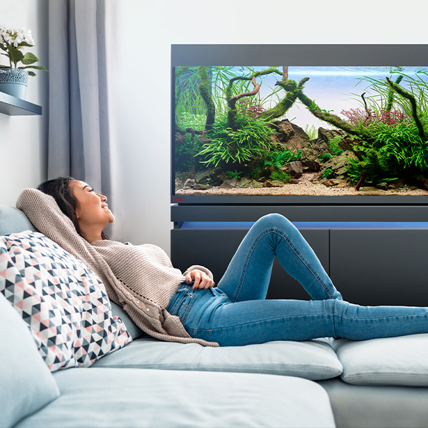 Aquarien - Süsswasser