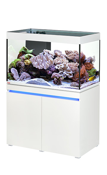 Incpiria_330_reef_alpin