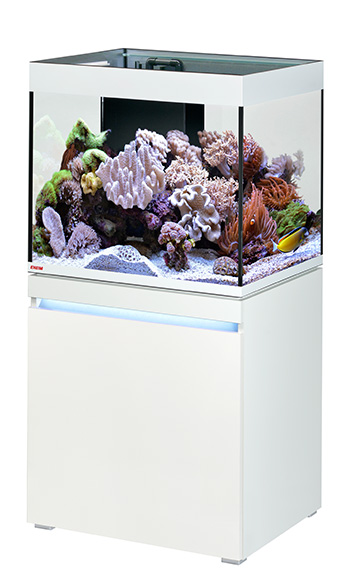 Incpiria_230_reef_alpin
