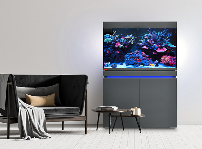 incpiria reef