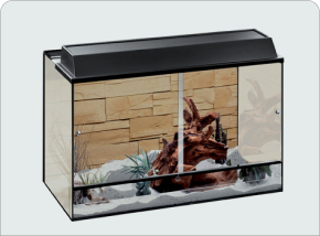 Terraristik